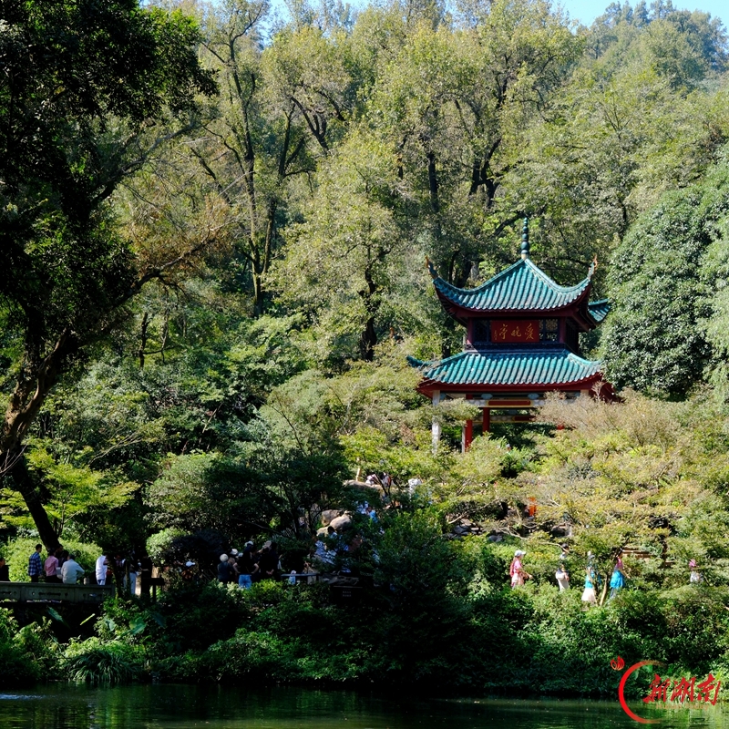 节后“错峰游”升温