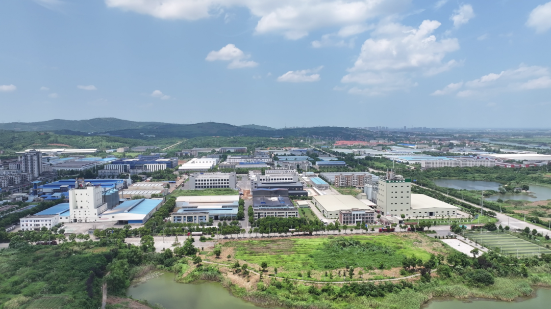 津市:降本保供“组合拳” 激活企业发展新动能