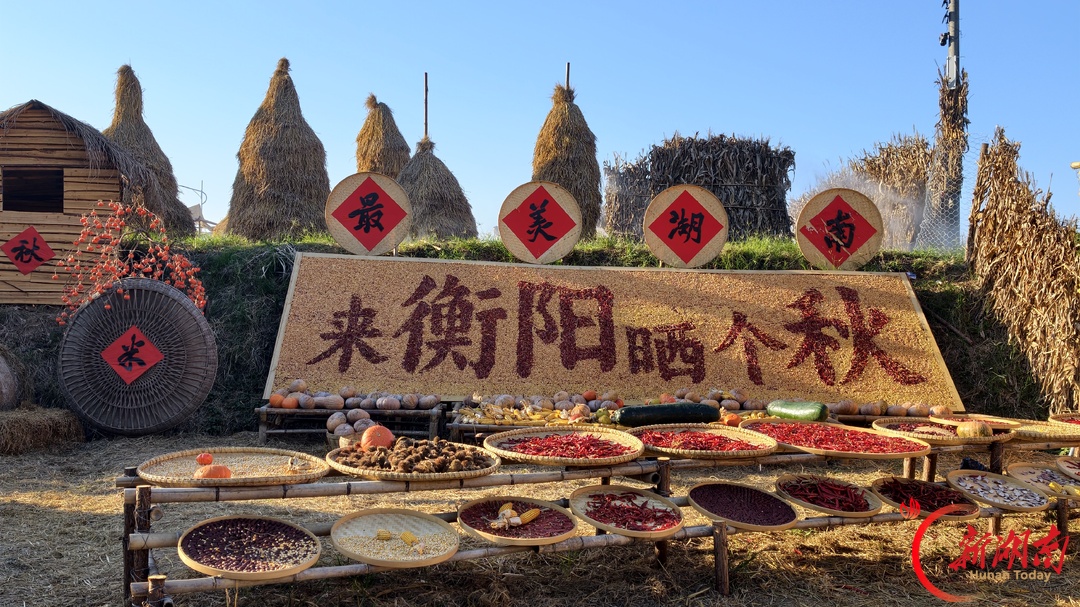 白天晒秋忙收获 夜晚登台唱欢歌 衡阳县:蒸阳歌舞耳边绕,田园风光眼中留