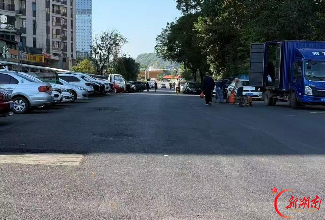 昔日“烦心路” 今朝“舒心路” 珠晖区龙家坪路提质改造完工通车