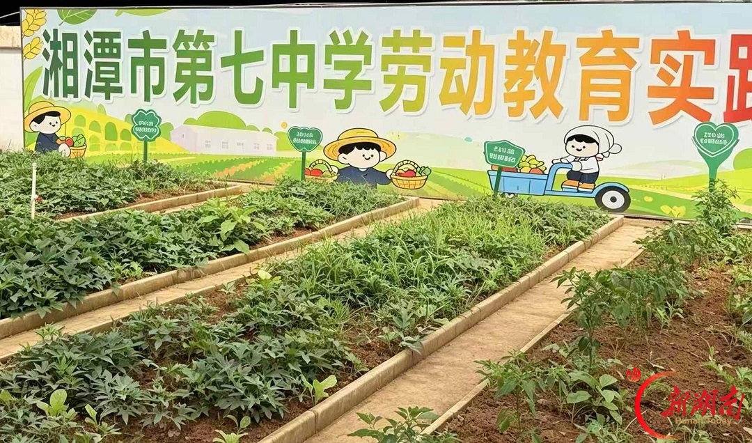 红烛领航破困局 初心铸魂育新人——湘潭市第七中学党建引领薄弱学校突围发展纪实