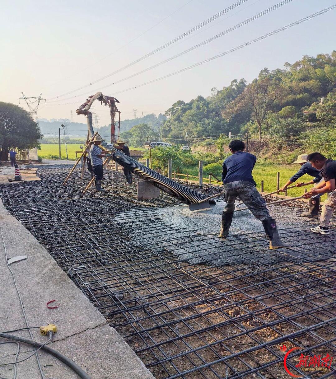 长沙新源社区:党建引“路”,乡村公路提质惠民生