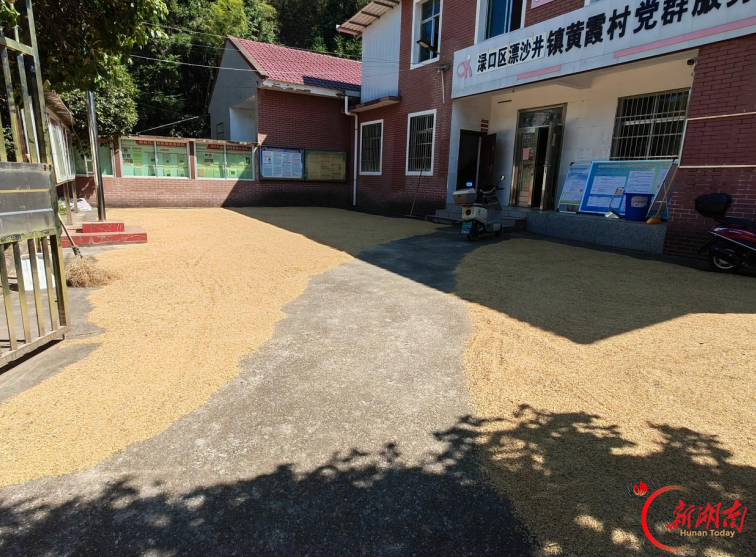 渌口区漂沙井镇：“坪”地金黄晒丰收