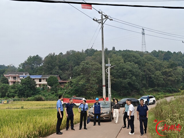 衡南：“人大+检察”推动全县电杆线缆安全隐患清零