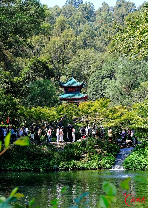 节后“错峰游”升温