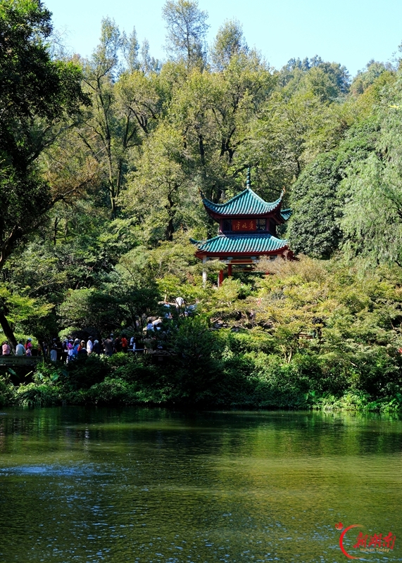 节后“错峰游”升温