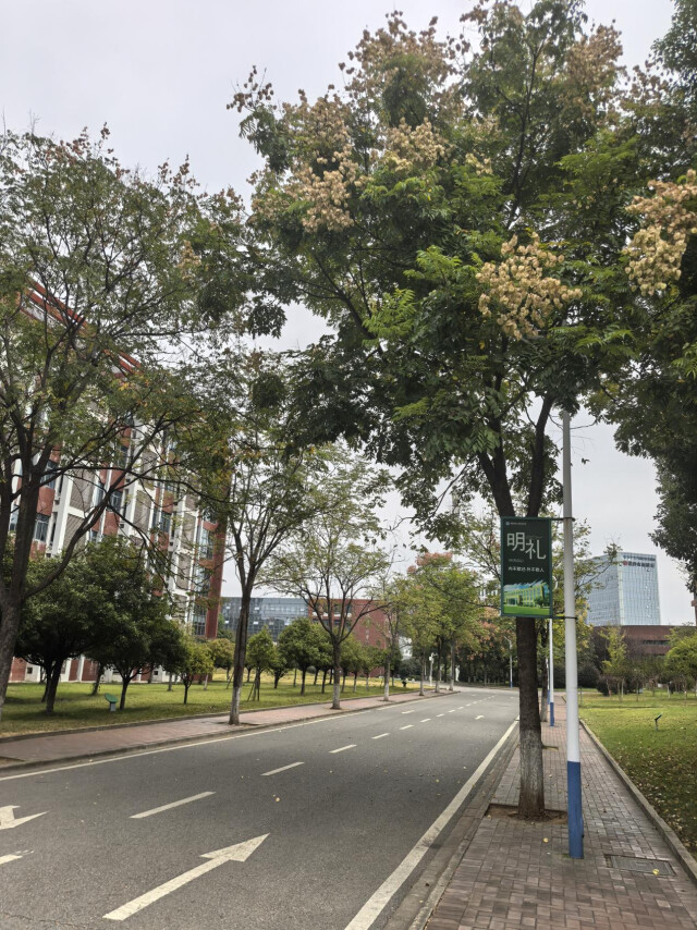 有一种爱和美，深藏在节假日
