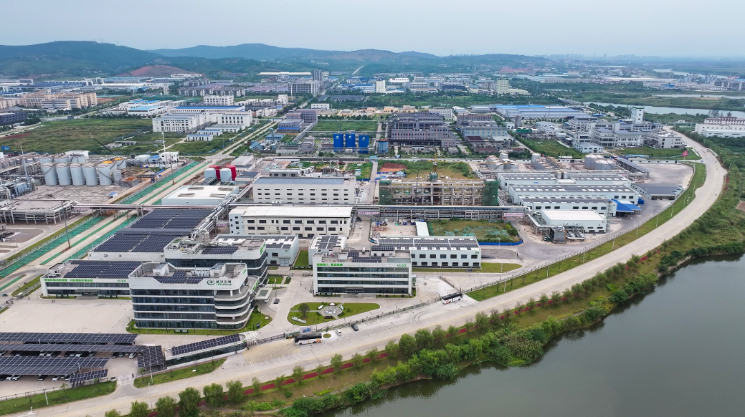 津市精准招商激活高质量发展新动能
