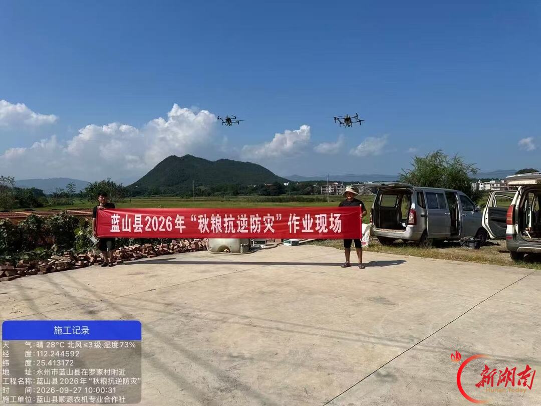 今年农作物虫害为何这么严重？专家支招科学应对