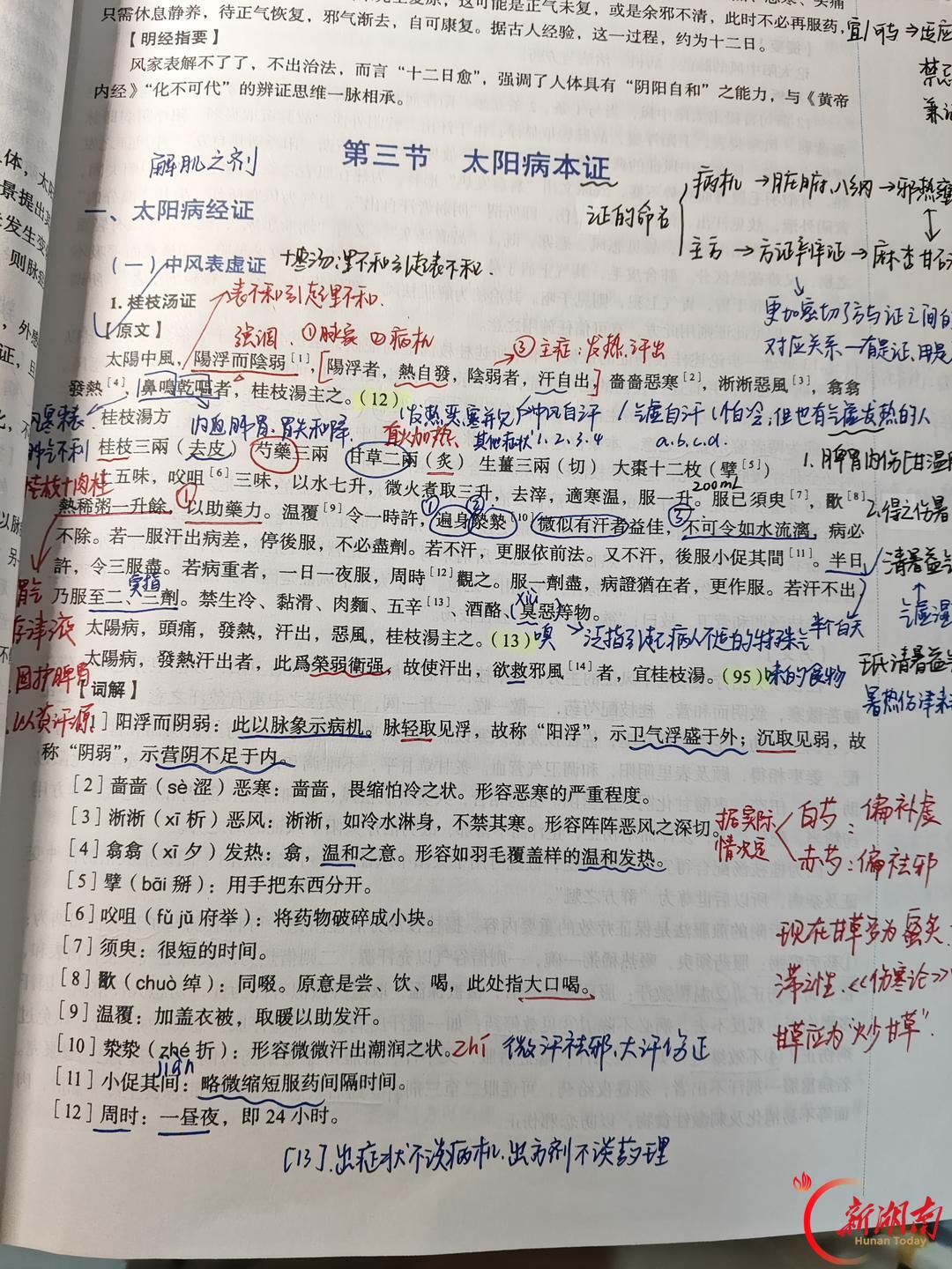 医学生·开学季|我的学医“新起点”(152)研读伤寒条文,织就知识之网