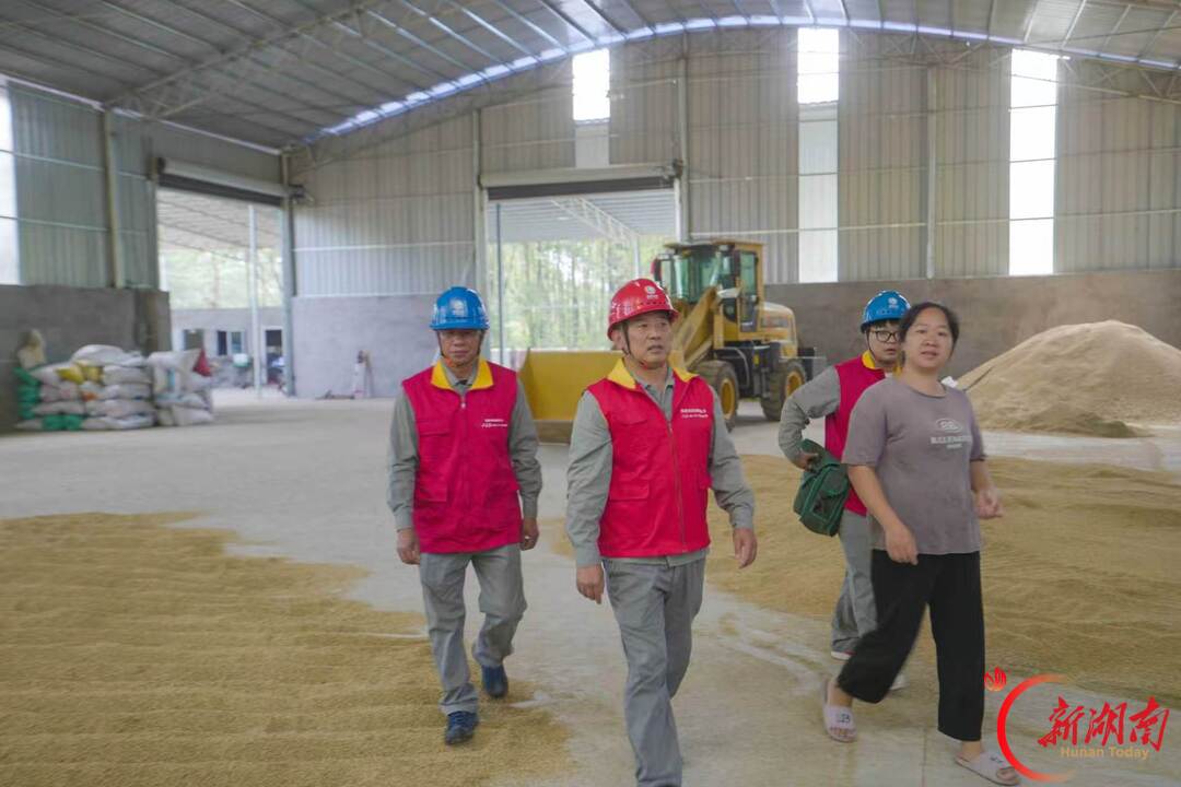 国网安仁县供电公司:电力护航“湘南粮仓”颗粒归仓