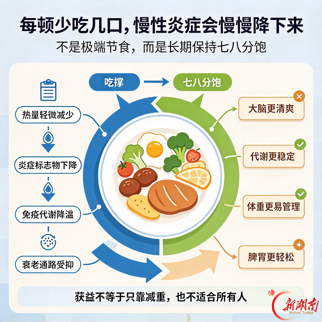 一个被低估的抗炎方法：每顿饭少吃几口，炎症降了、衰老慢了
