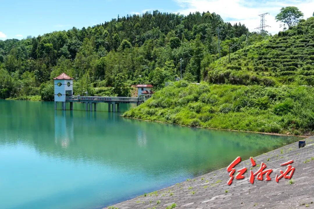 深水映忠魂 一跃显担当！湘西石林志入选中央政法委见义勇为勇士榜