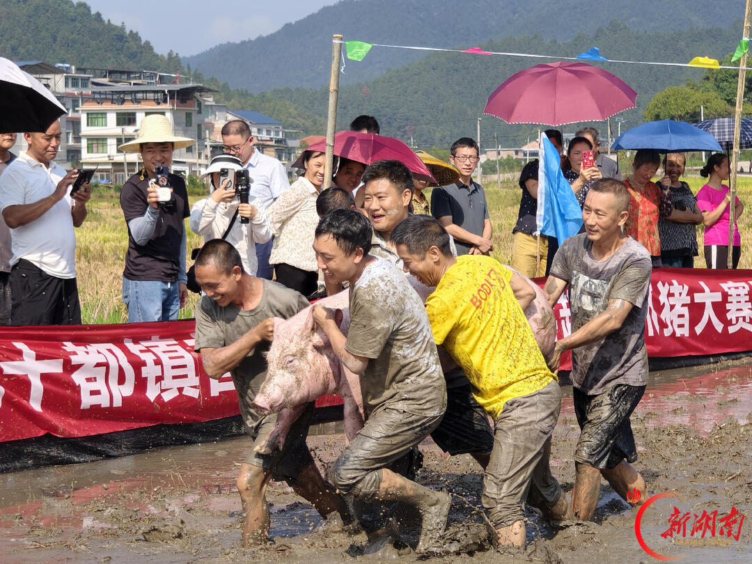 国庆长假25万人游炎陵