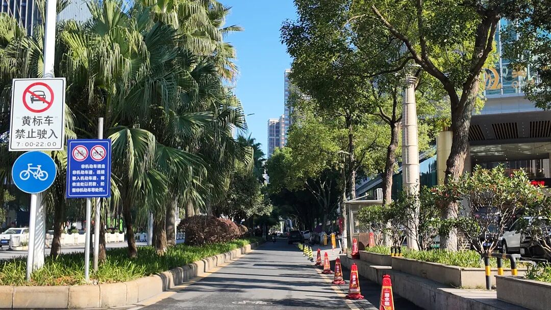 郴江路奥米茄段焕新！草绿了，路平了，树池不绊脚了