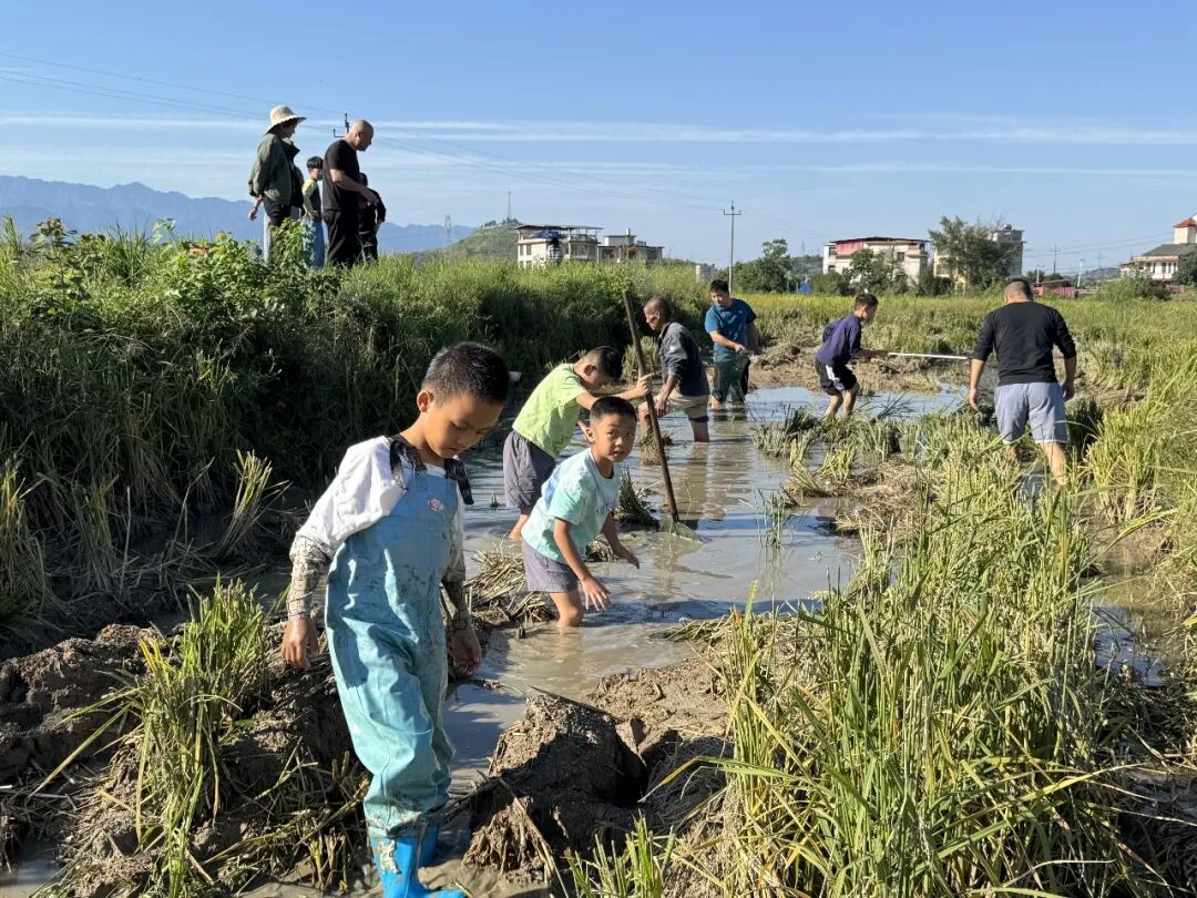 武冈:捉鱼品鲜赏茶园 乡村游让市民“沉浸式”过国庆
