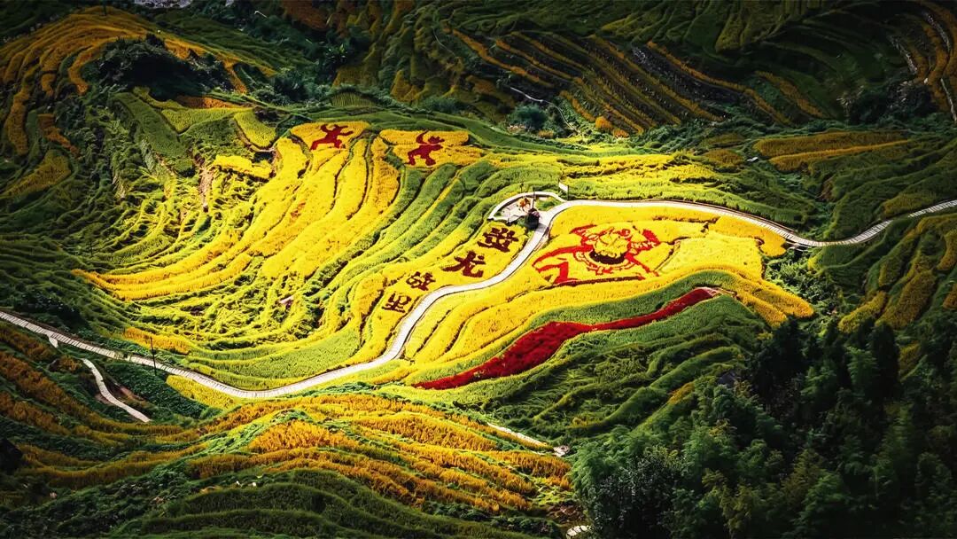 湖南真美·一周精选 ㉚丨寒露至,大地铺展物候长卷