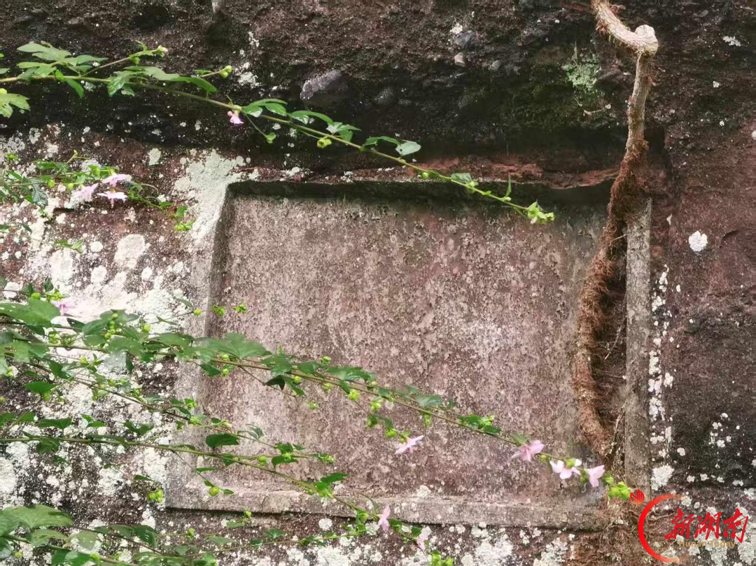 探访郴州版《水经注》,崖刻秘密藏不住啦!