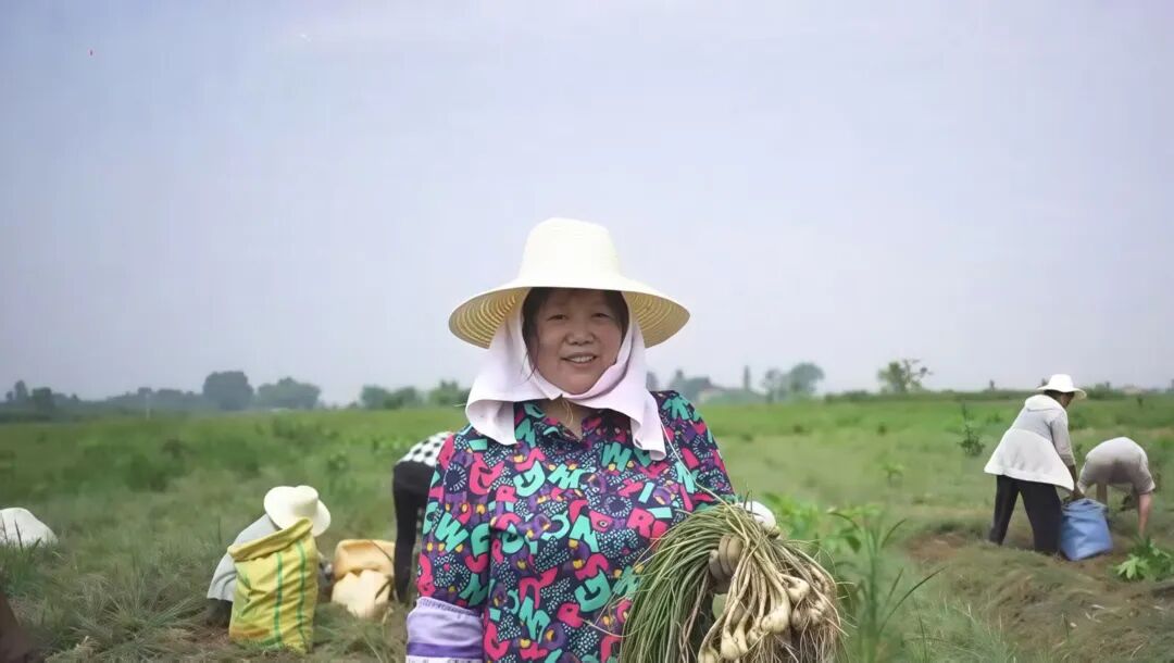 日韩国民“下饭菜”，湘阴藠头走红海外
