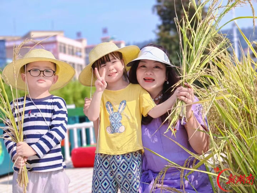 衡东县向阳幼儿园:稻穗飘香迎金秋 萌娃劳作获成长