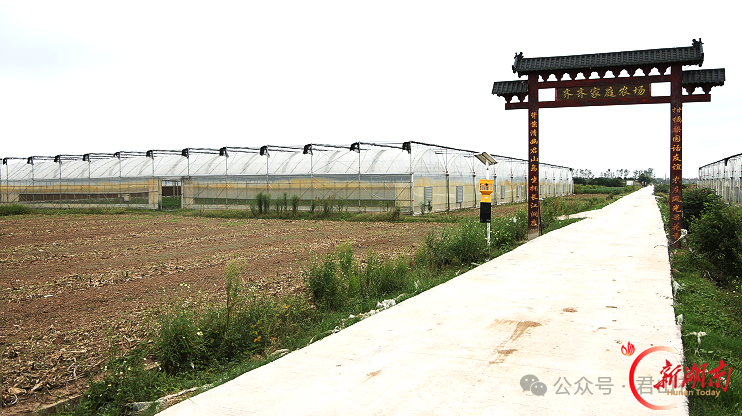 君山区高标准农田建设“加速跑” 秋日管护绘就沃野好“丰”景