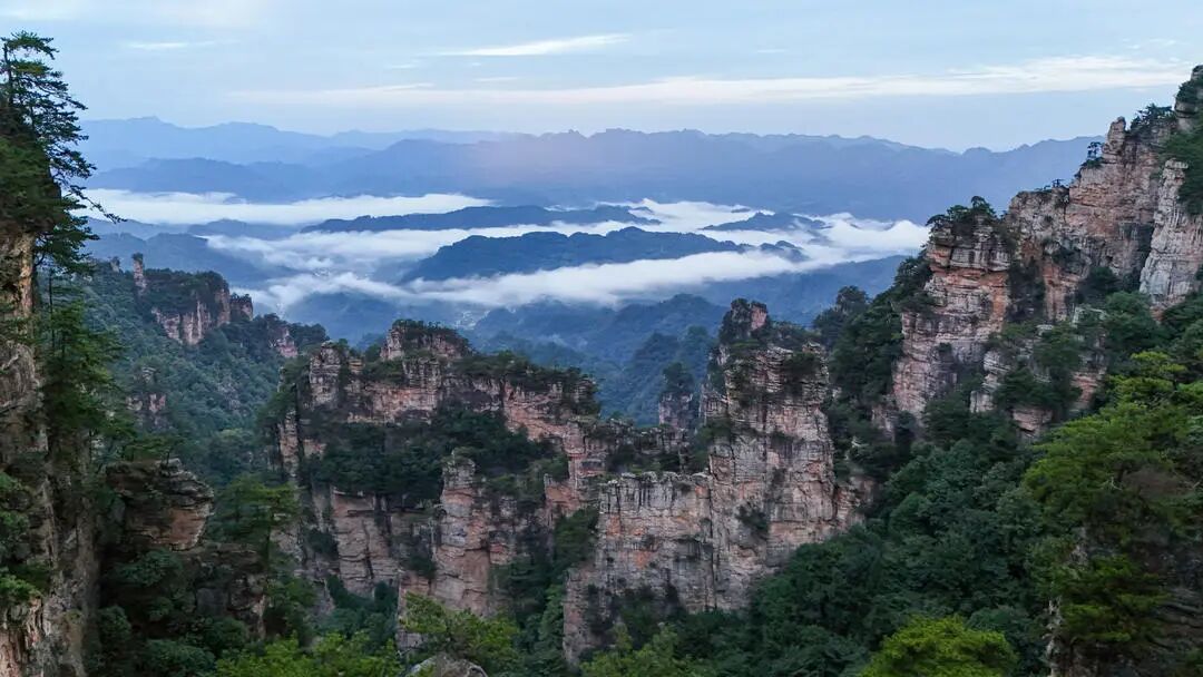 湖南真美·一周精选 ㉚丨寒露至,大地铺展物候长卷
