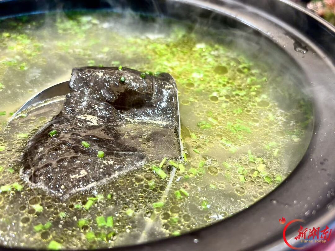 甲鱼：大佬登场，小意畅快｜潇潇聊美食