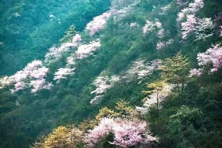 新邵县:小河风光最动人