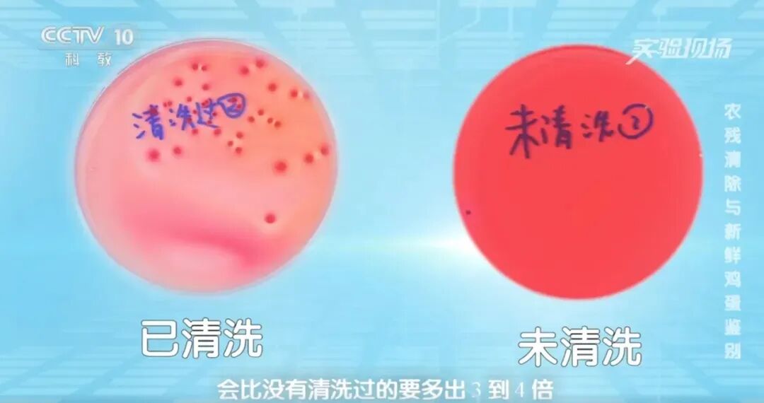 健康科普丨这种“长斑”的鸡蛋，千万别再吃了！