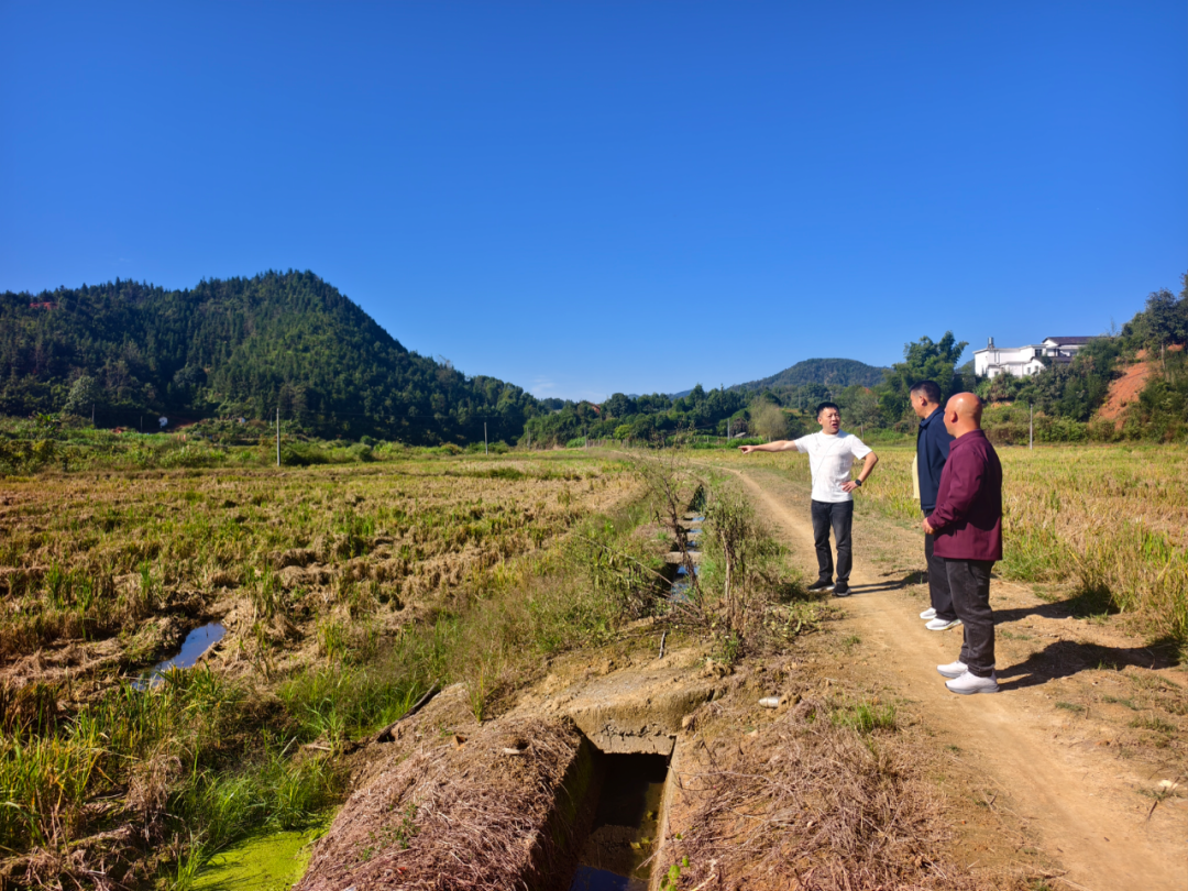 守护“国庆蓝” 交出“绿色答卷”——岳阳市国庆假期空气质量实现大幅改善