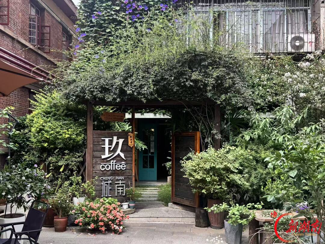 洞庭南路的“合伙人”