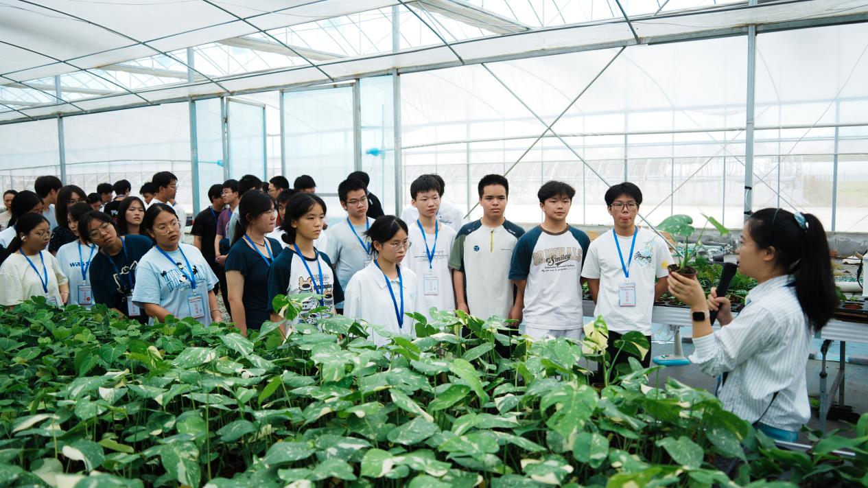 湖南应用技术学院举办科学实践营 74名高中生开启三天科学探索之旅