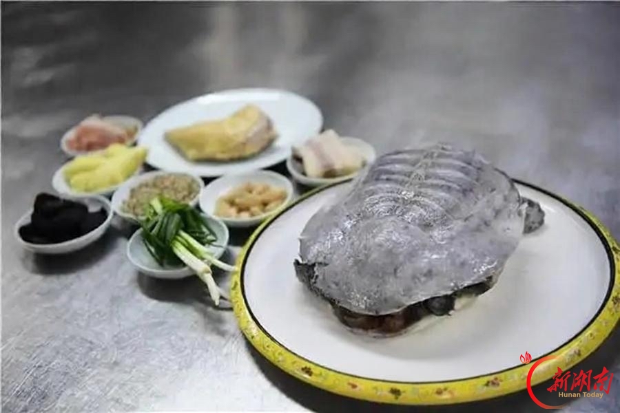 甲鱼：大佬登场，小意畅快｜潇潇聊美食