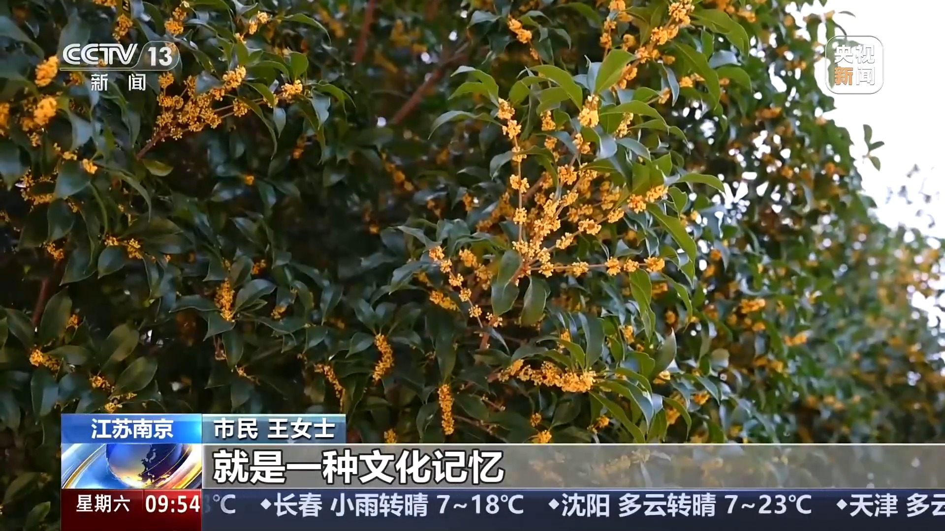 国庆假期后错峰出游 这几条松弛线路带你“慢旅行”