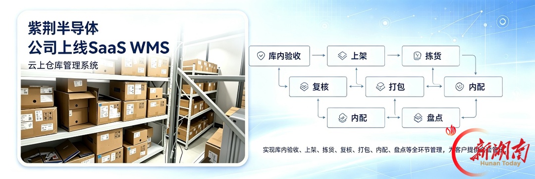 湖南紫荆半导体跑通RISC-V量产闭环,第二曲线瞄准具身智能