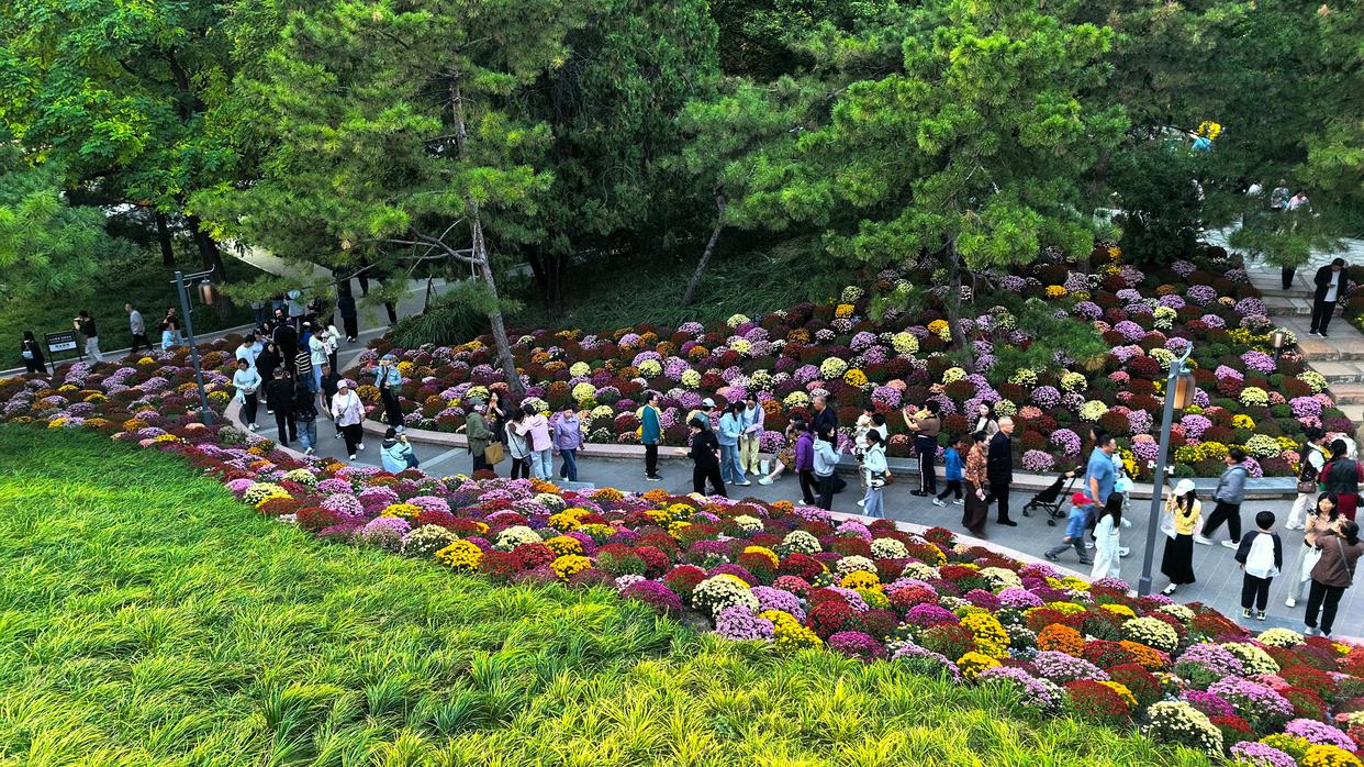 小而美的日坛公园,如何一周圈粉30万人次?