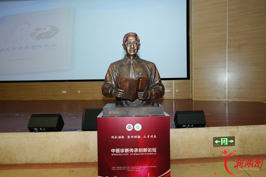 当中医诊断遇上人工智能,这场论坛给出了“湖湘答案”
