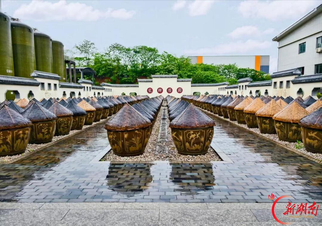 听一路花开,写一程成长——株洲市天元区建宁实验小学湖南日报全媒小记者的年度掠影