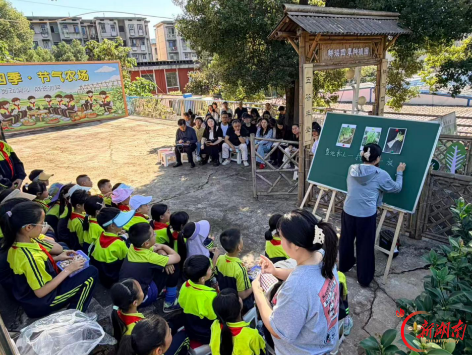 耕读四季·闪光同行——株洲市周慧珊小学校长工作室开展集中研修活动