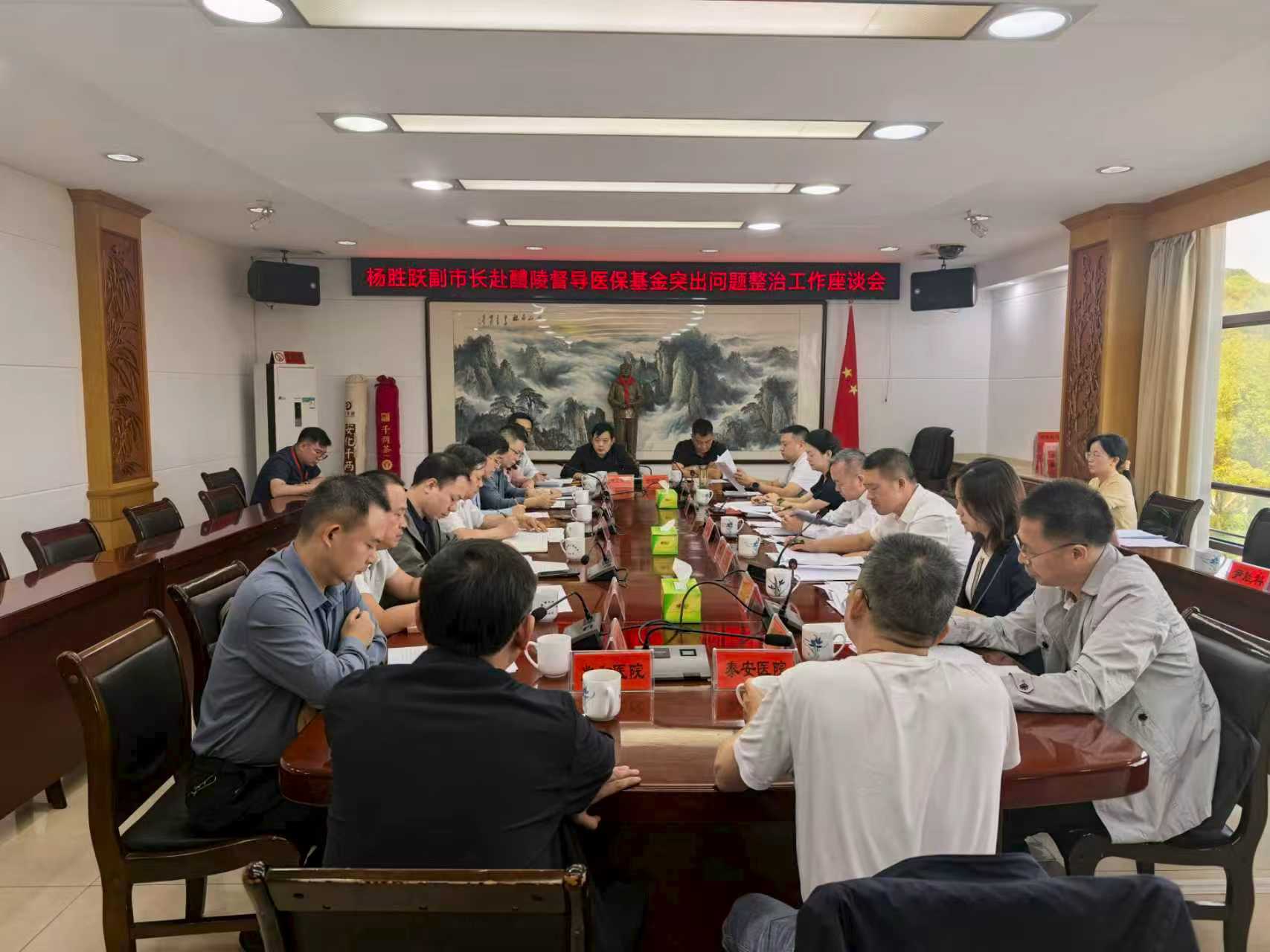 株洲市政府副市长杨胜跃赴醴陵调研督导医保基金突出问题整治工作