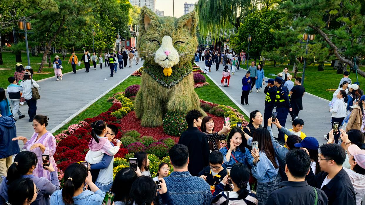 小而美的日坛公园,如何一周圈粉30万人次?