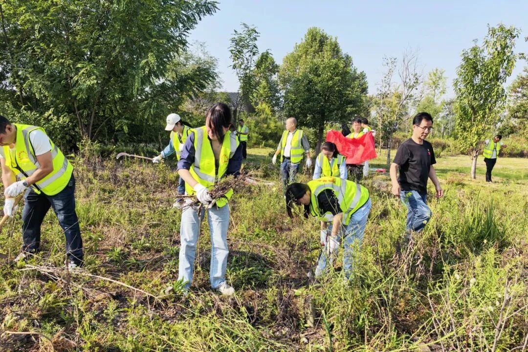 党建引领护碧水绿地,联动清除“生态杀手”