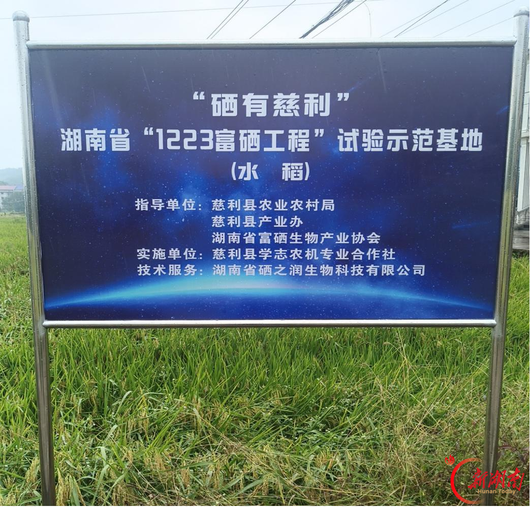 周丽：从培训课堂到田间地头，用数字化手段点亮慈利农产品“出圈”路