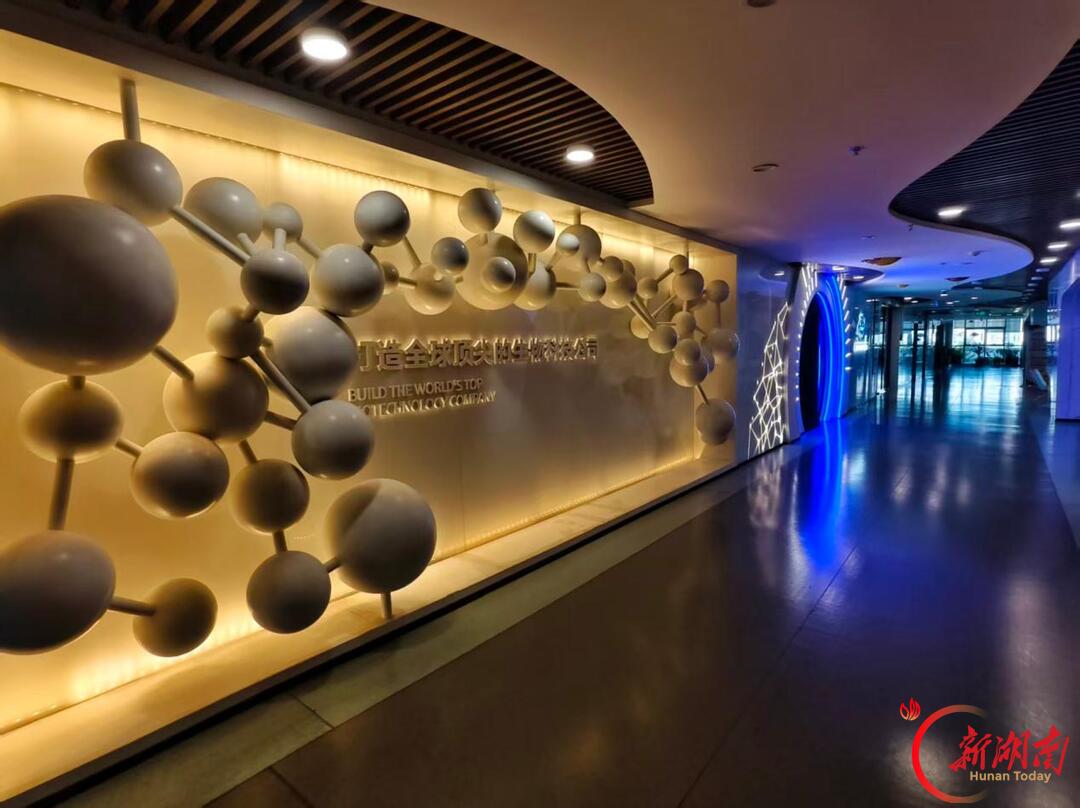 听一路花开,写一程成长——株洲市天元区建宁实验小学湖南日报全媒小记者的年度掠影
