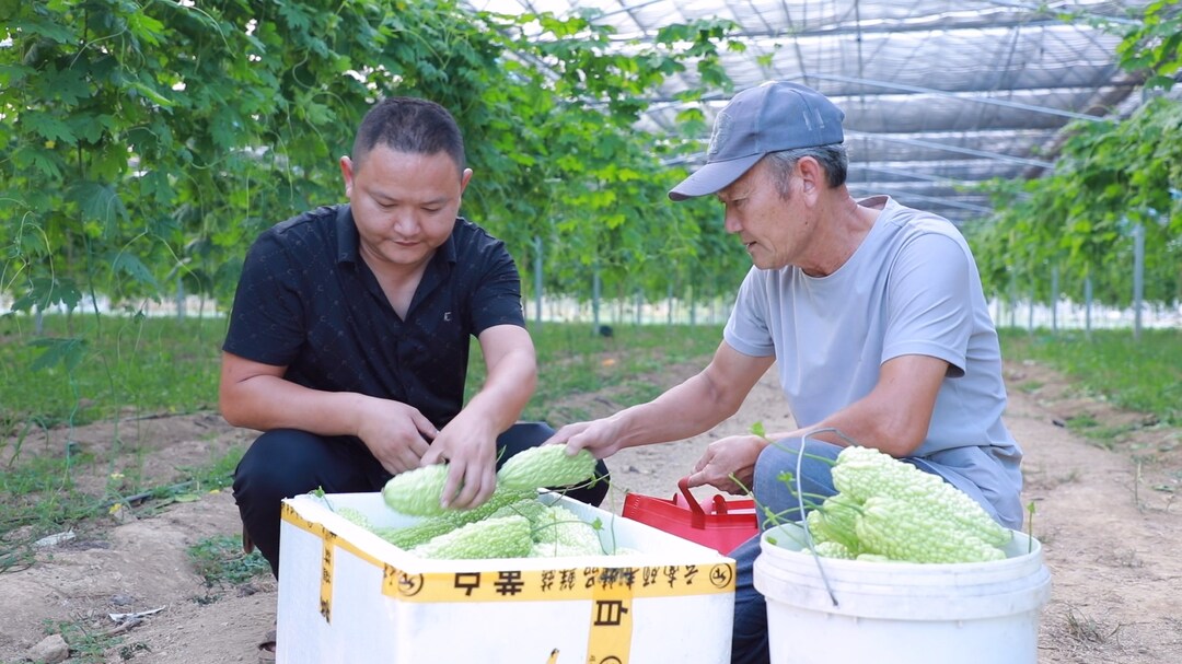 富硒沃土孕育发展动能 嘉禾特色农业产销两旺