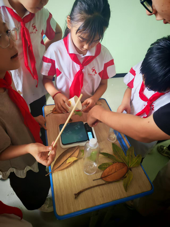 巧手封存自然之美 科创点亮少年童心——麻阳苗族自治县长河小学开展AB胶动植物标本制作科技实践活动