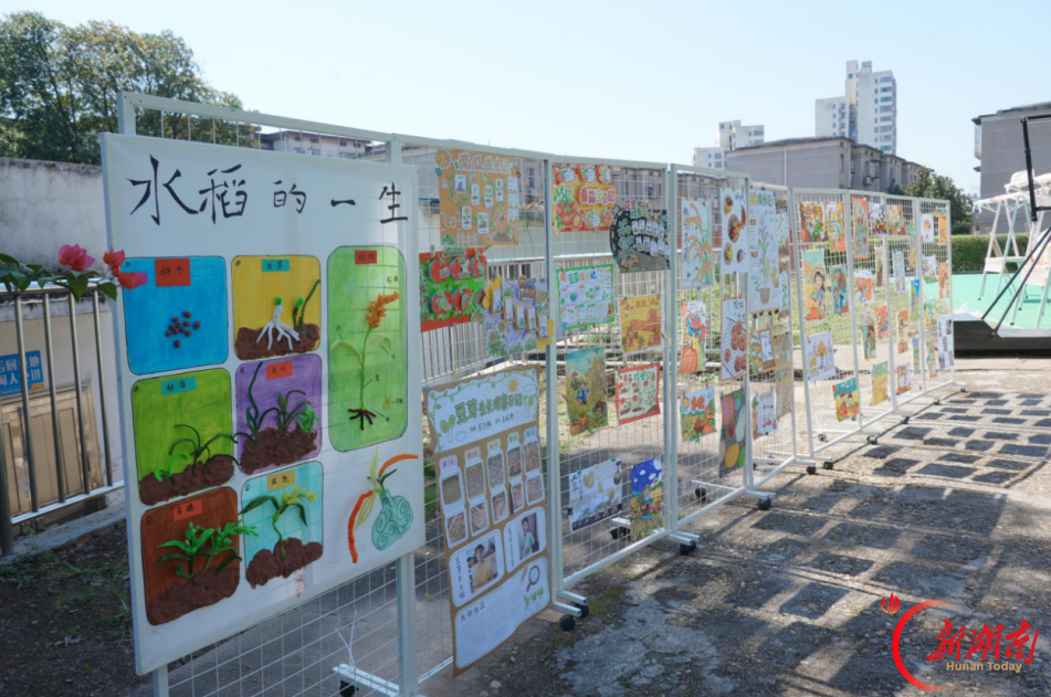 耕读四季·闪光同行——株洲市周慧珊小学校长工作室开展集中研修活动