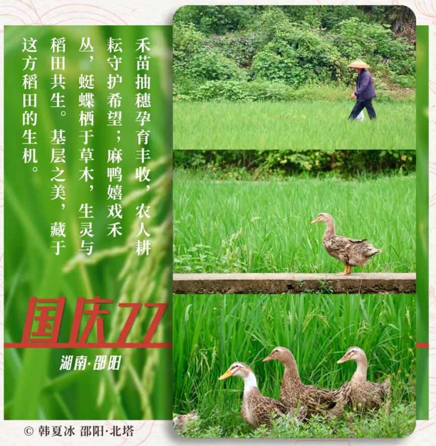 湘伴丨攒了一个假期的惊喜,今天终于藏不住了