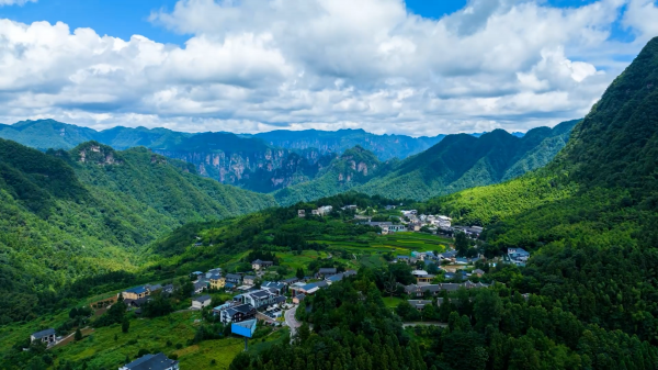 植绿山林间 掘金沃土下——张家界擘画林下经济三年发展新图景@湖南日报
