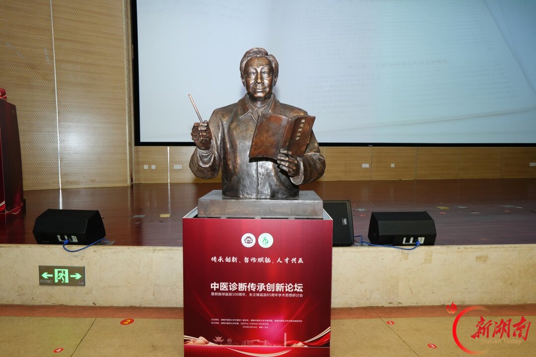 当中医诊断遇上人工智能,这场论坛给出了“湖湘答案”
